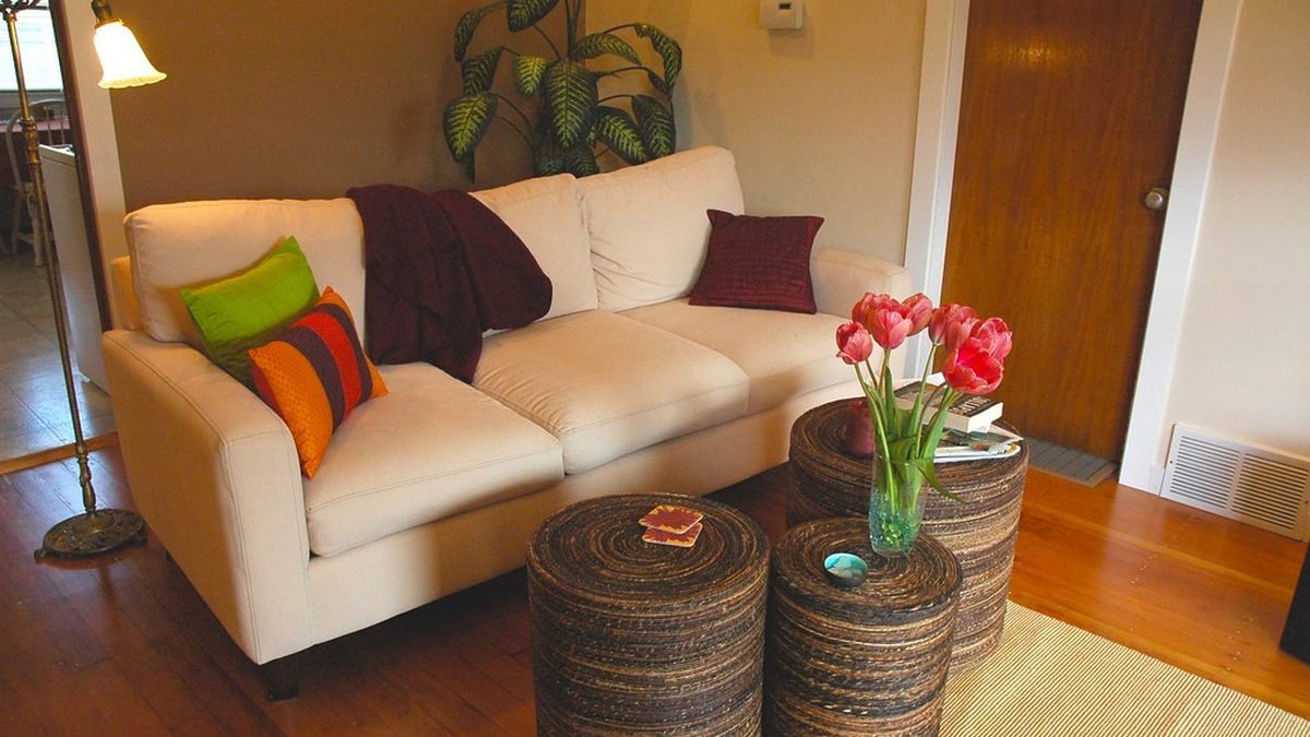 Interior de un apartamento con sofá y plantas, carta ESA para apartamentos
