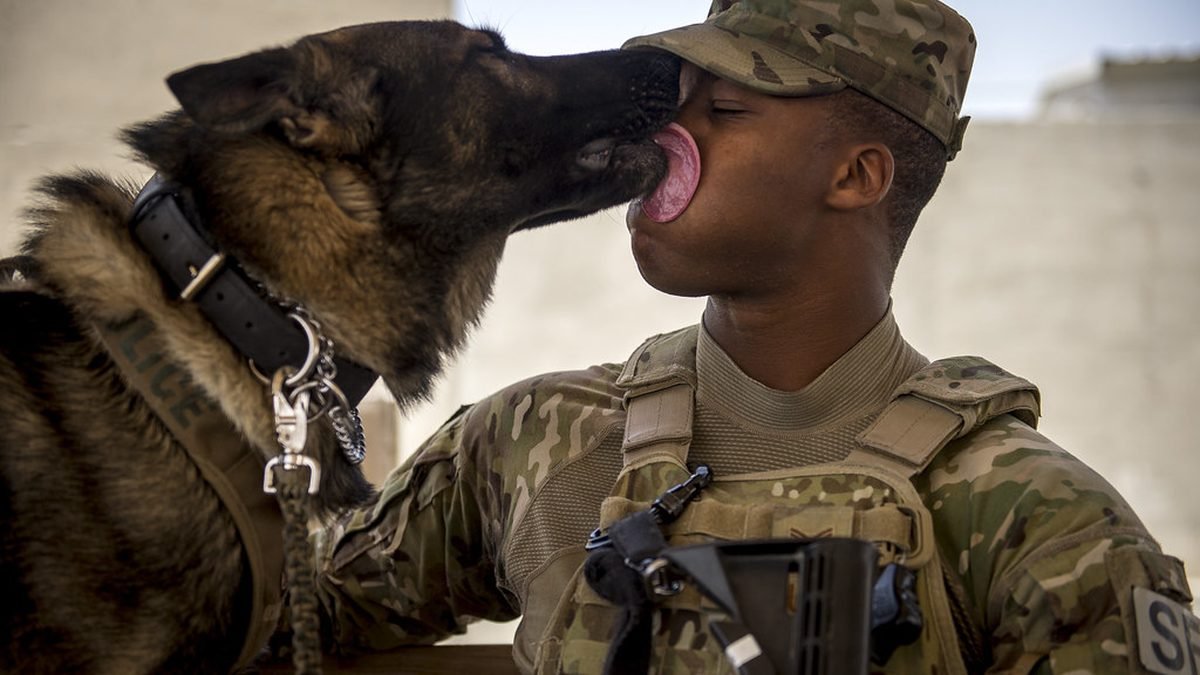 Soldier in uniform with a dog, ESA letters for veterans