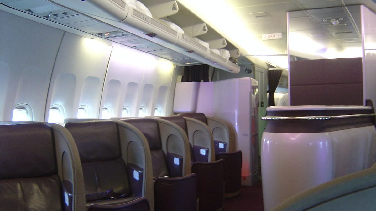 Airplane cabin seats, ESA travel readiness consultation