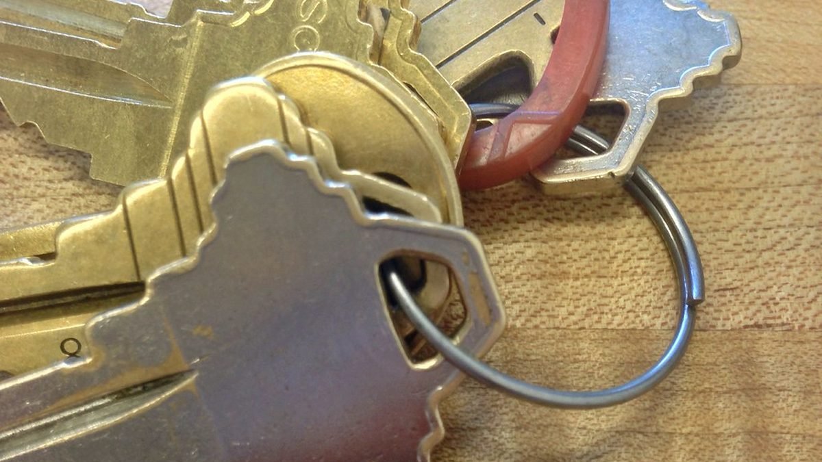 House keys close up, what a legitimate ESA letter looks like