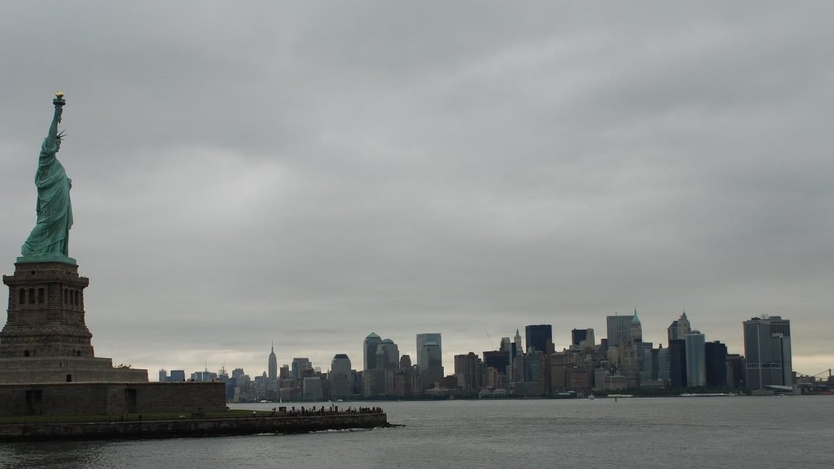 New York skyline from the water, ESA letter for a New York apartment