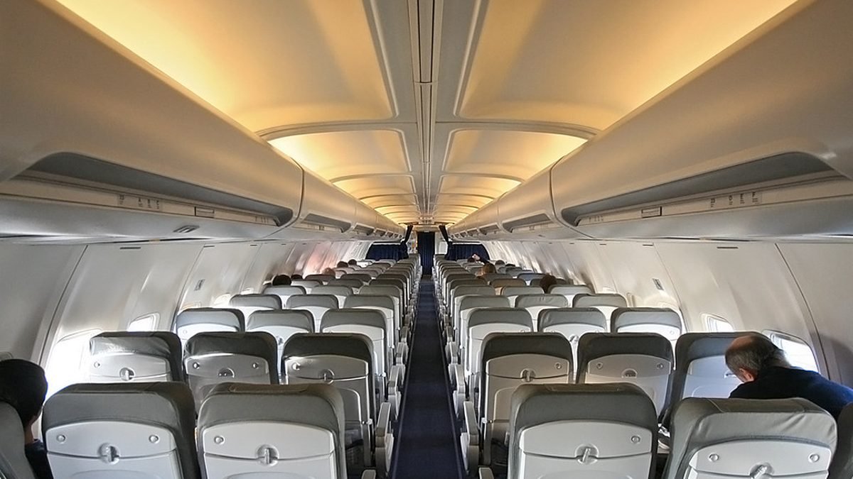 Empty airplane seats by the window, travel anxiety and emotional support animals