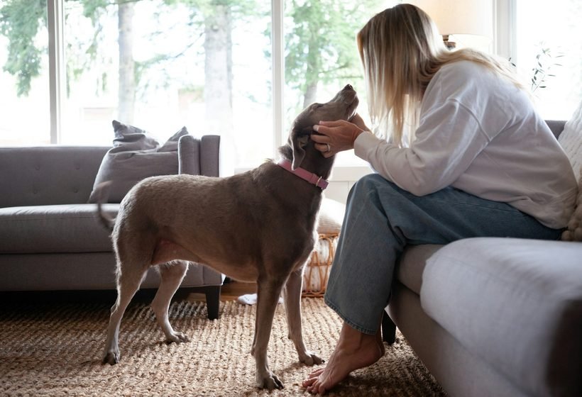 Mujer acariciando a su perro en una sala luminosa, el mismo perro que puede ser su animal de apoyo emocional